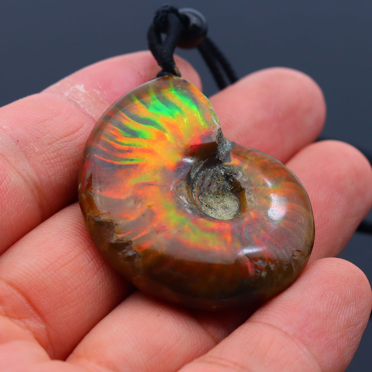 Natural pendant color spots screw, the nautilus, chrysanthemum stone, snail, necklace