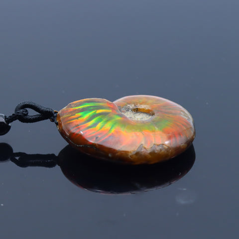 Natural pendant color spots screw, the nautilus, chrysanthemum stone, snail, necklace